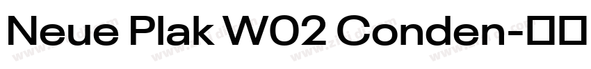 Neue Plak W02 Conden字体转换